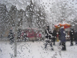 На Ставрополье выпал мокрый снег