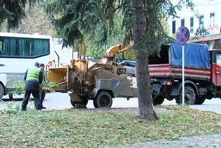В Пятигорске обещают высадить новые деревья вместо поврежденных непогодой