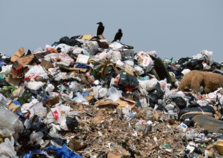 Пятигорчане жалуются на стихийные мусорные свалки в городе