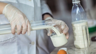 В молочной продукции из Буденновска нашли кишечную палочку