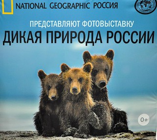 В Пятигорске открывается фотовыставка "Дикая природа России"