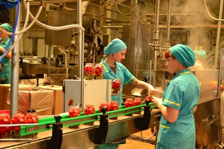 В Новоалександровском районе Ставрополья планируют открыть консервный завод