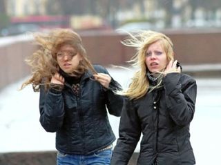 На Ставрополье сильный ветер и ночные заморозки