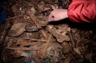 В Кисловодске на территории цеха найдены человеческие останки