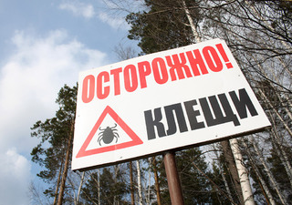 На Ставрополье проснулись клещи-переносчики опасных заболеваний