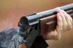 Новости: Гражданское огнестрельное оружие