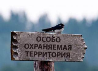 Эммануэльевское урочище на Ставрополье станет заповедной территорией