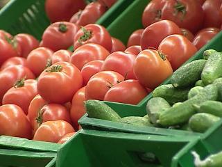 Ставрополье поднялось в рейтинге производителей овощей