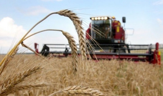Аграрии Ставрополья собрали первый миллион тонн зерна