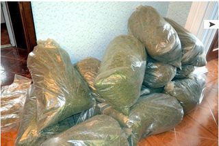 В ставропольской станице изъяли две тонны наркотиков