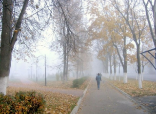 Синоптики прогнозируют туманы на Ставрополье