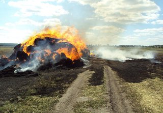 Житель Ставрополья отомстил обидчику, спалив его запасы соломы