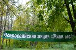 Новости: Всероссийская акция "Живи, лес!"