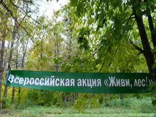 Ставрополье присоединилось к всероссийской акции «Живи, лес!»