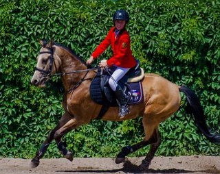 В Железноводске пройдут соревнования по конному спорту на Кубок главы города