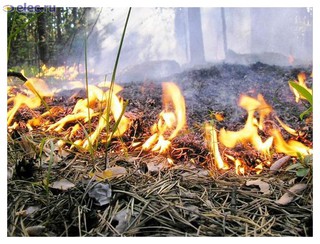 Востоку Ставрополья угрожает высокая пожароопасность