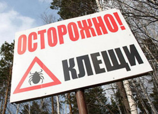 На Ставрополье от укусов клещей пострадали более 1000 человек