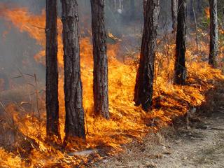 В отдельных районах Ставрополья сохраняется повышенная пожароопасность
