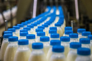 Инвестиции позволят нарастить производство молока на Ставрополье к 2020 году