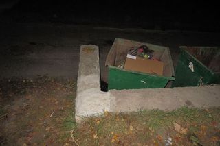 В Кисловодске ищут мать младенца, брошенного возле мусорного контейнера