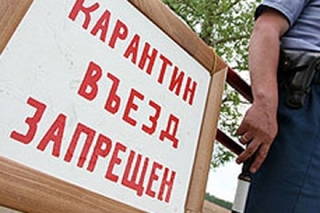 В поселке на Ставрополье введен режим ЧС в связи со вспышкой сибирской язвы