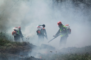 В Кисловодске пожарные 4 часа тушили пламя, охватившее 5,5 гектаров леса