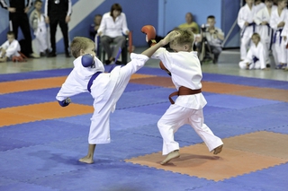 В Пятигорске прошел международный чемпионат по каратэ