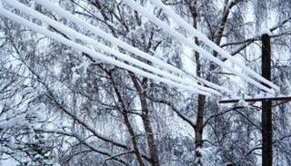 Синоптики предупреждают о налипании мокрого снега на Ставрополье