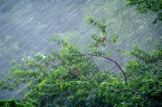 Жару на Ставрополье сменят дожди с грозами