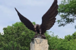 Новости: Скульптура орла