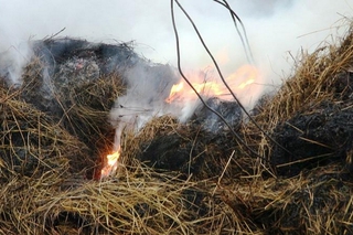 Жителя Ставрополья задержали за поджог годового запаса сена