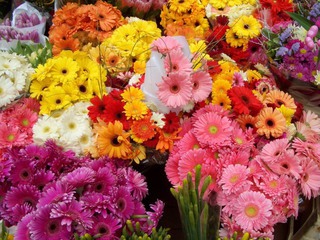В Пятигорске мамам подарят цветы