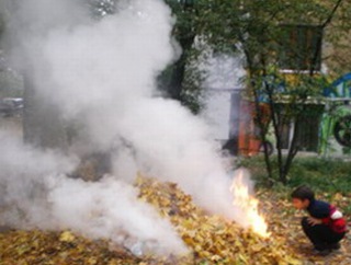 Кавминводы задыхаются от дыма горящей листвы
