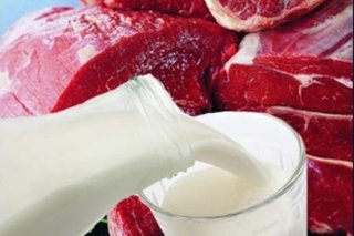Ставрополье не может полностью обеспечить себя мясом и молоком