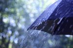Новости: Дожди с грозами