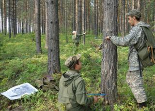 В Кисловодске проведут инвентаризацию лесов