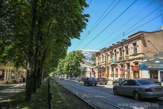 Комиссия проверит все деревья на проспекте Кирова в Пятигорске