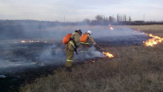 На Ставрополье ужесточат наказание за ландшафтные пожары