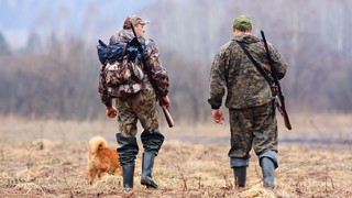 На Ставрополье изменились правила выдачи разрешений на охоту