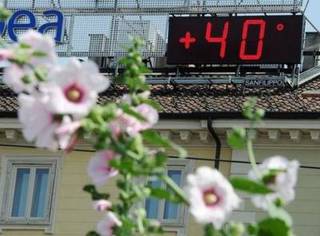 На Ставрополье держится 40-градусный зной