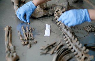 В Ставрополе на заброшенной остановке нашли скелет мужчины