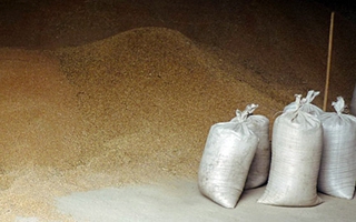 На Ставрополье сотрудники сельхозпредприятия украли 300 тонн зерна