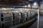 Новости: Производство молока