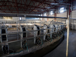 На Ставрополье планируют увеличить производство молока