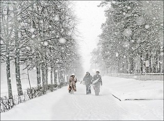 Синоптики и МЧС предупредили о сильном снегопаде на Ставрополье