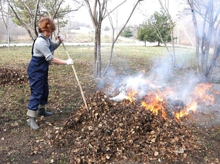 Власти Пятигорска предупредили о штрафах за сжигание листвы