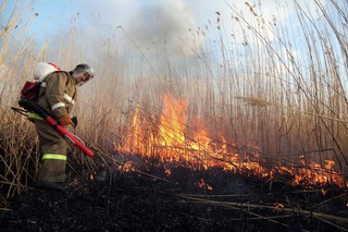 В двух районах Ставрополья ожидается чрезвычайная пожароопасность