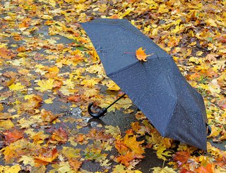 Ноябрь принес на Ставрополье дожди и похолодание