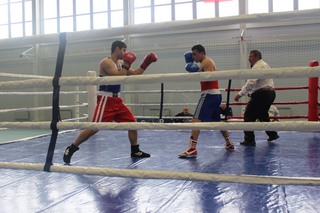 В Минводах проходят соревнования по боксу среди полицейских
