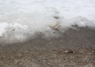 В Железноводске 14-летний подросток спас двух детей, провалившихся на озере под лед